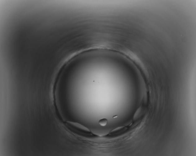 X0000089761230200706281637