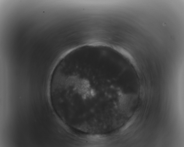 X0000089761231200706281637