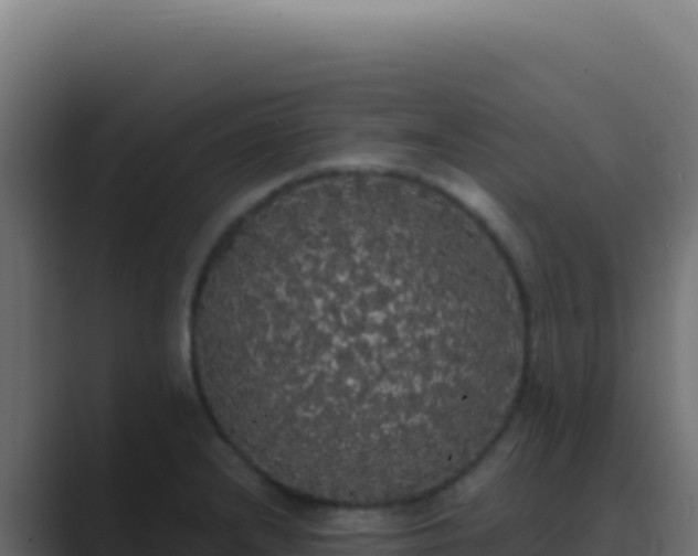 X0000089761232200706281637