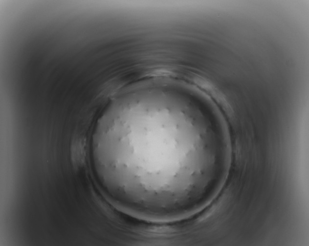 X0000089761233200706281637