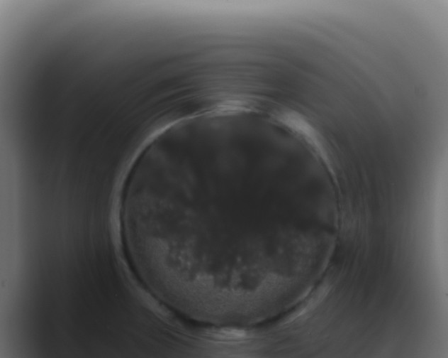 X0000089761235200706281637
