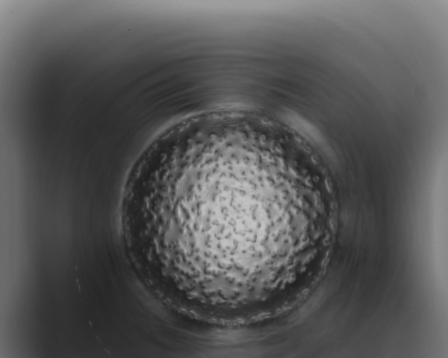 X0000089761236200706281637