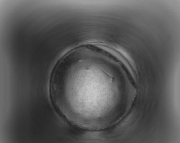 X0000089761237200706281637