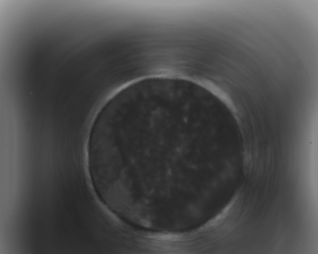 X0000089761239200706281637