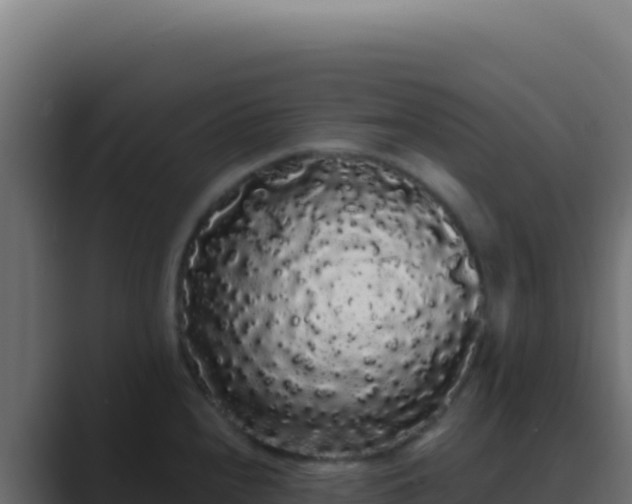 X0000089761240200706281637
