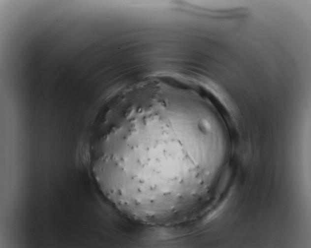 X0000089761241200706281638