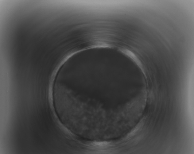 X0000089761243200706281638