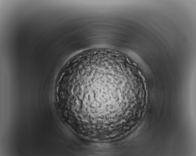 X0000089761244200706281638