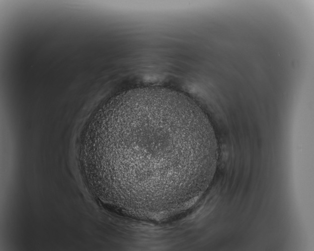 X0000089761249200706281637