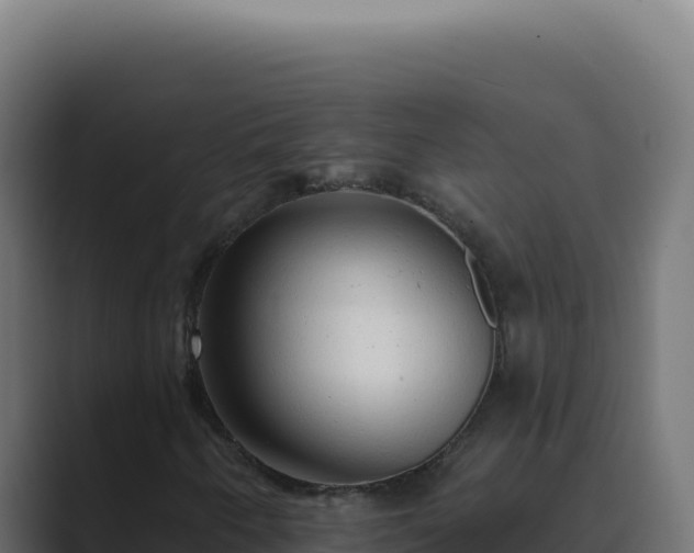 X0000089761250200706281637