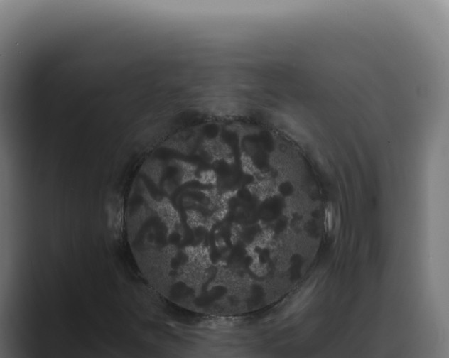 X0000089761251200706281637
