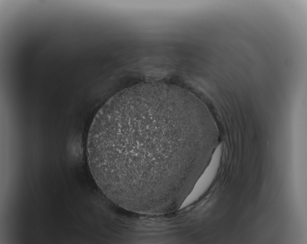 X0000089761252200706281637