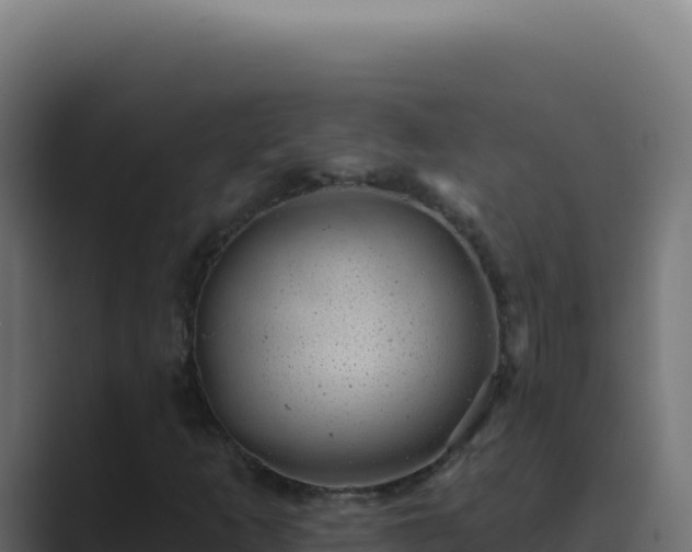 X0000089761253200706281637