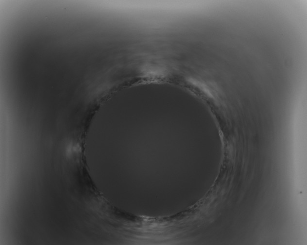 X0000089761254200706281637
