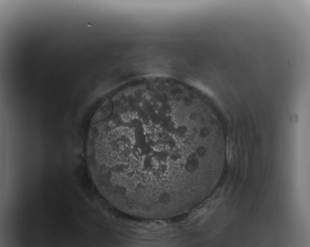 X0000089761255200706281637