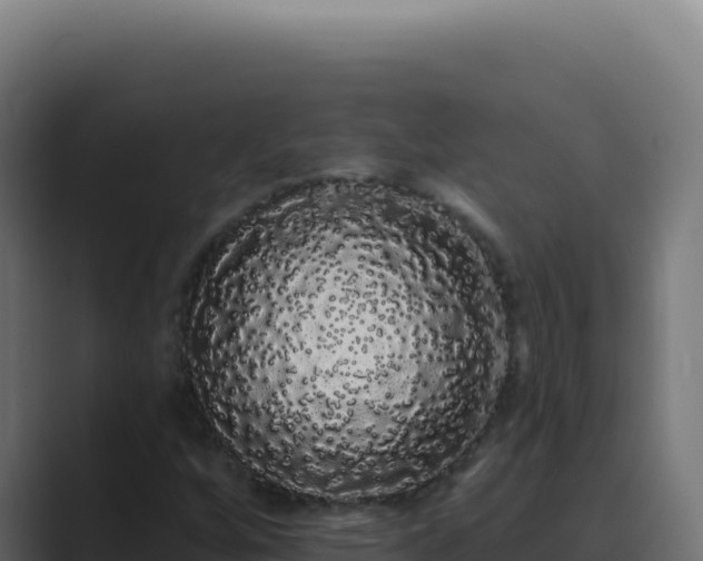 X0000089761256200706281637