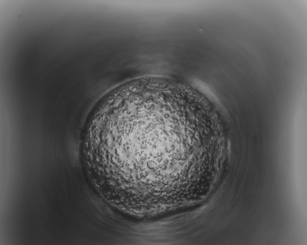X0000089761260200706281637