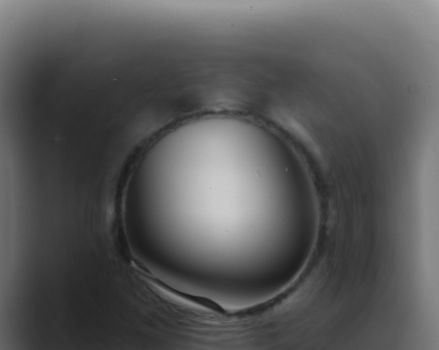 X0000089761261200706281637