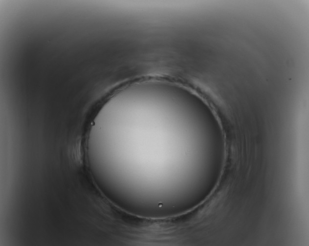 X0000089761262200706281637