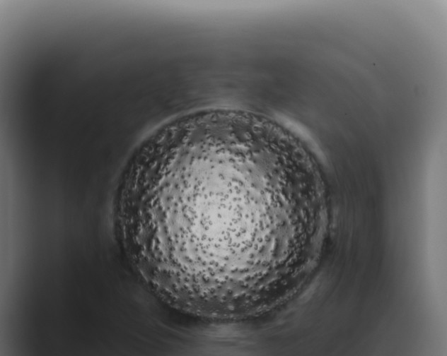 X0000089761264200706281637