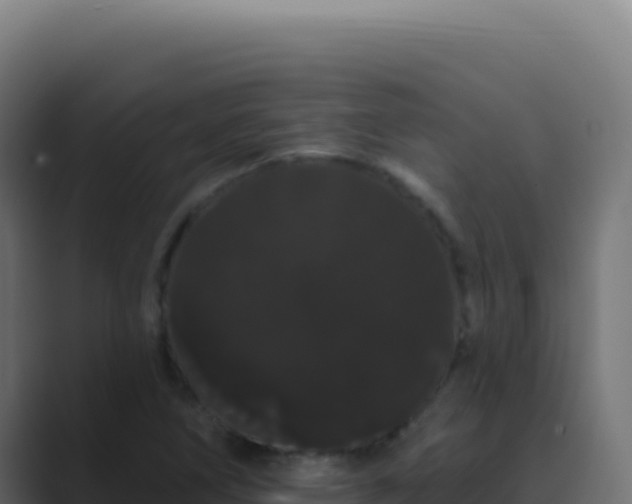 X0000089761266200706281637