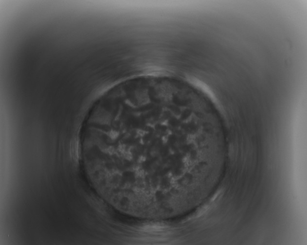 X0000089761267200706281637