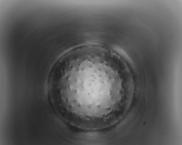 X0000089761268200706281637