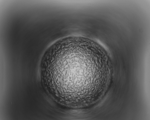 X0000089761272200706281637