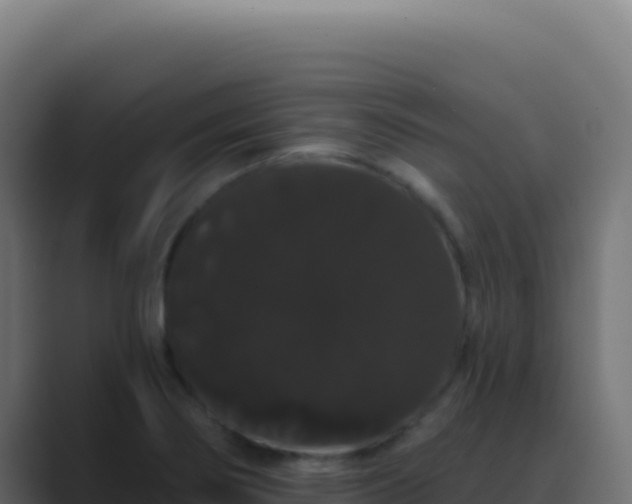 X0000089761274200706281637