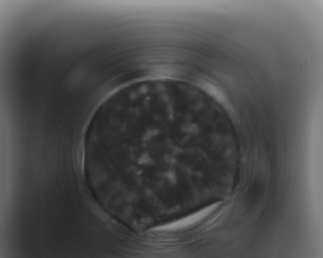 X0000089761275200706281637