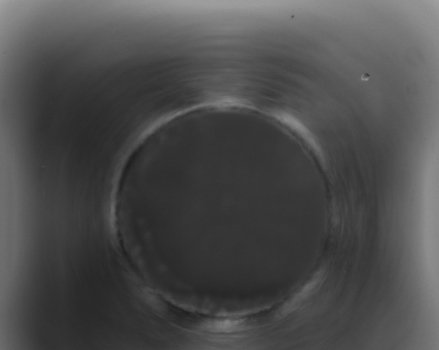 X0000089761278200706281637