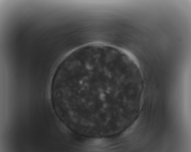 X0000089761279200706281637
