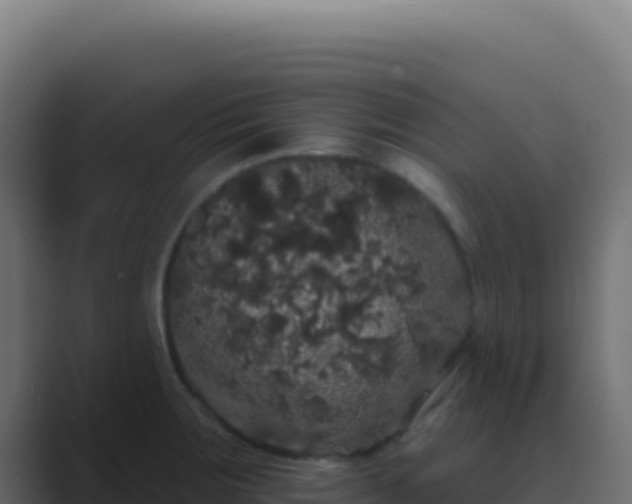 X0000089761283200706281637