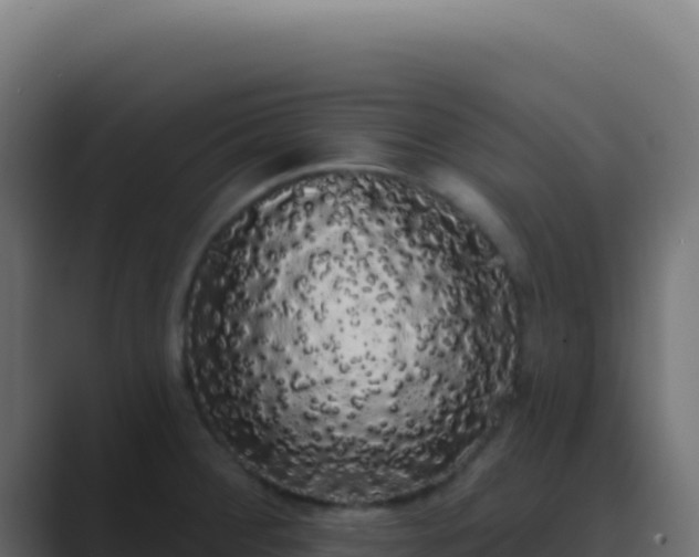 X0000089761284200706281637