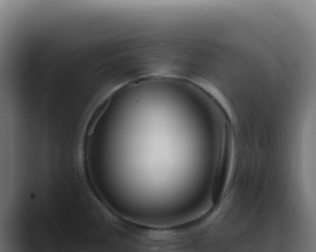 X0000089761285200706281637