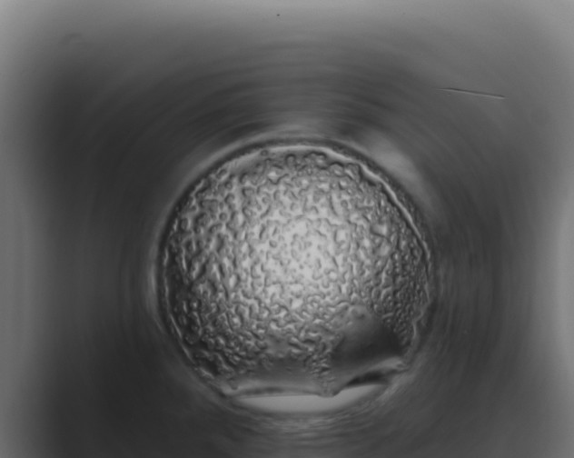X0000089761288200706281637