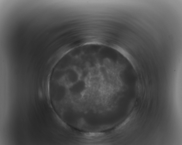 X0000089761290200706281637