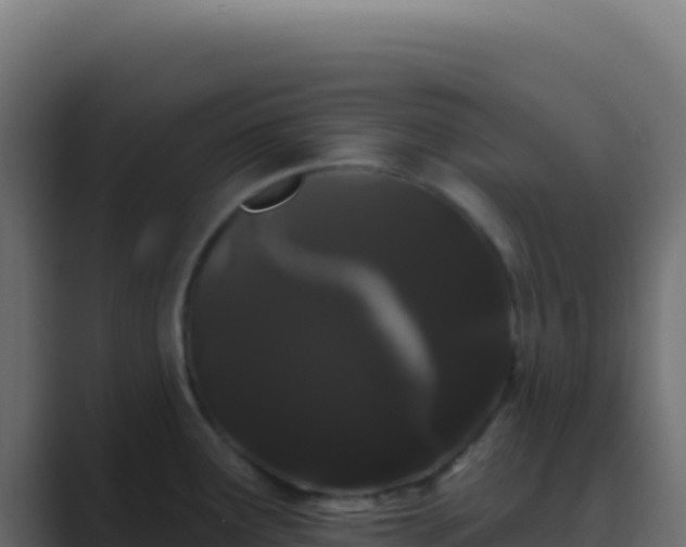 X0000089761291200706281637