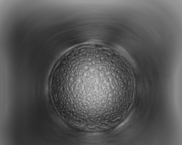X0000089761292200706281637
