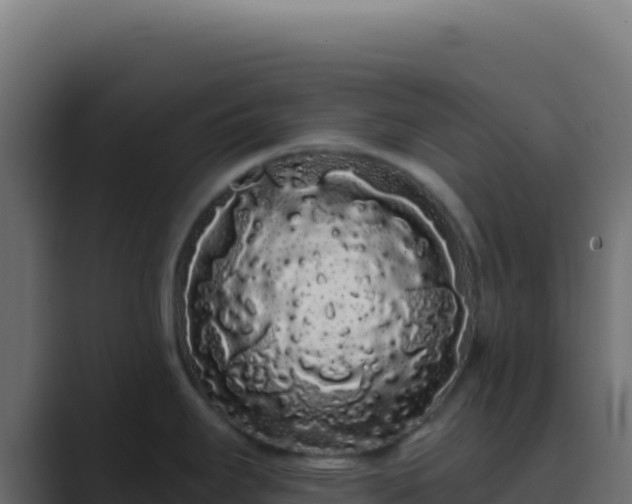 X0000089761295200706281637