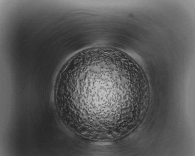 X0000089761296200706281636