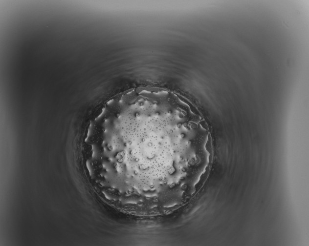 X0000089761297200706281636
