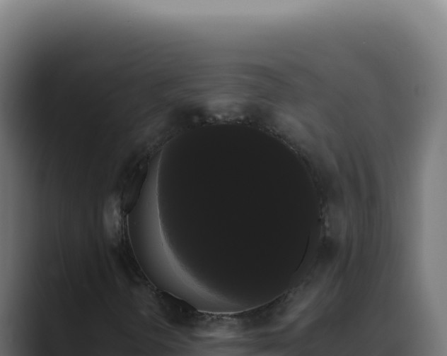 X0000089761298200706281636