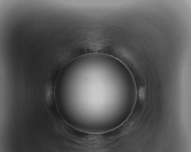 X0000089761299200706281636