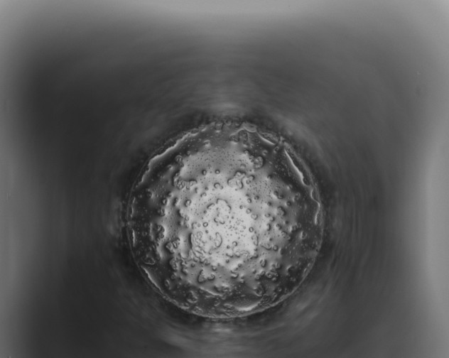 X0000089761301200706281636
