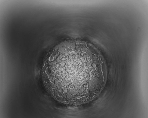 X0000089761302200706281636