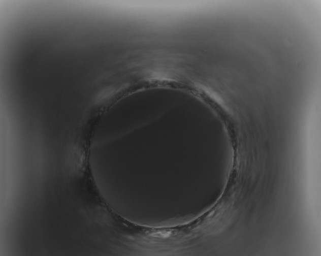 X0000089761303200706281636