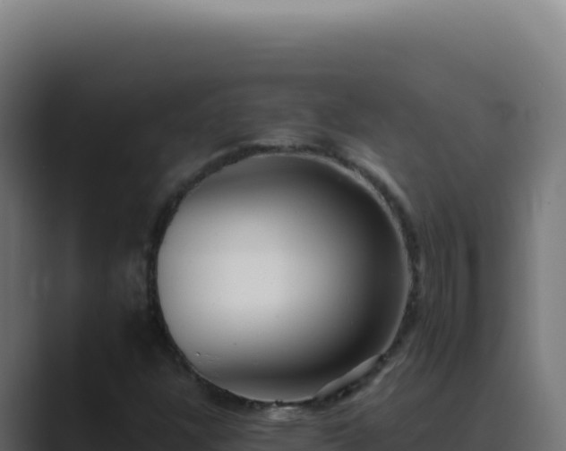 X0000089761304200706281636