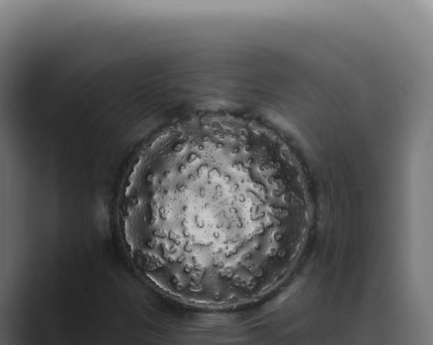X0000089761305200706281636
