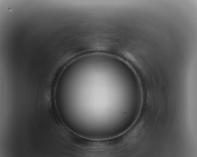 X0000089761307200706281636
